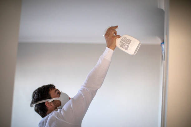 Best Professional Mold Removal  in Westwood, CA